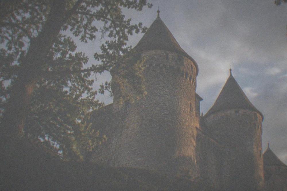 Historic stone castle with conical towers seen through woodland