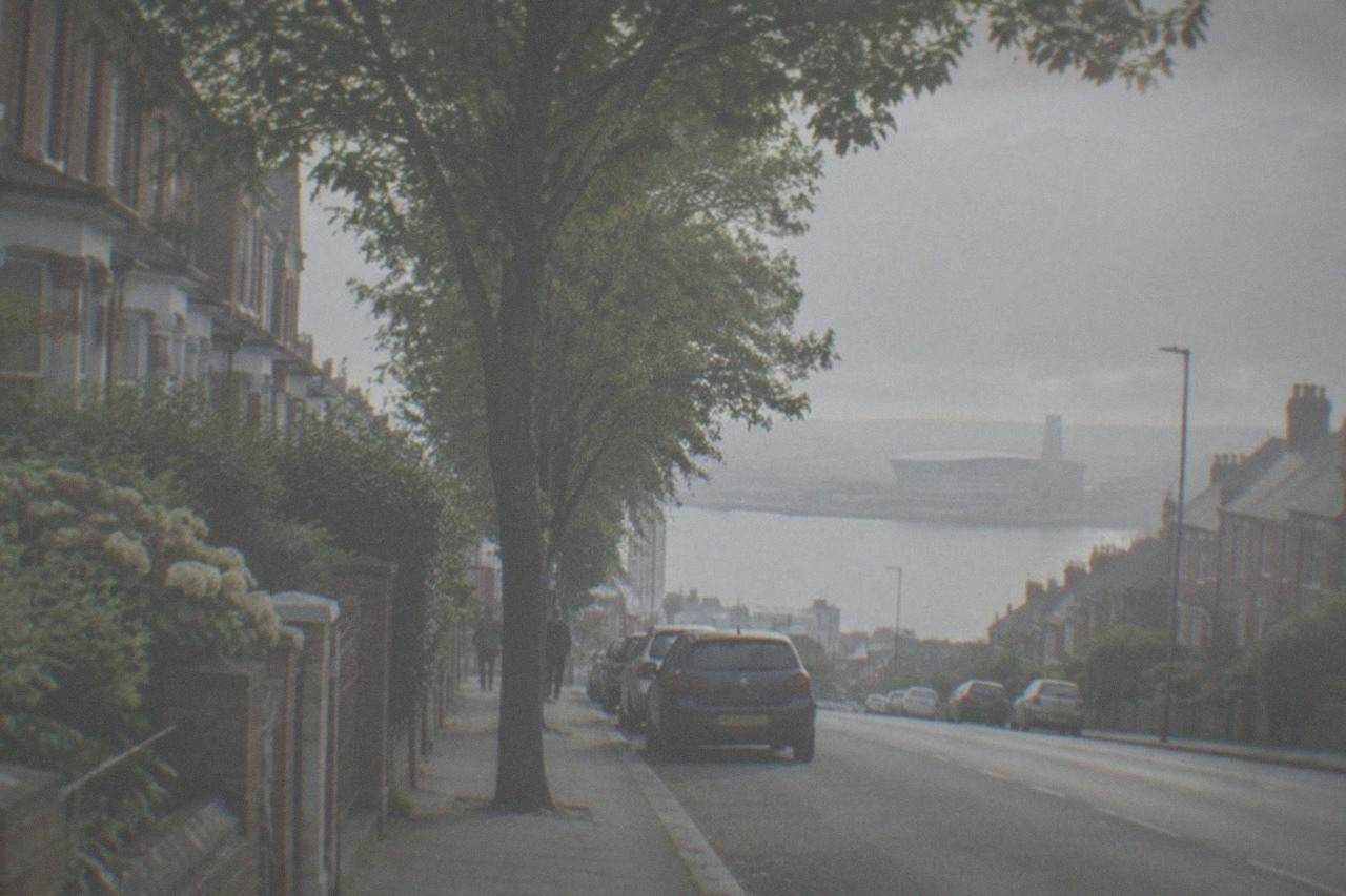 A tree-lined Cardiff street of red-brick terraced houses in late afternoon light