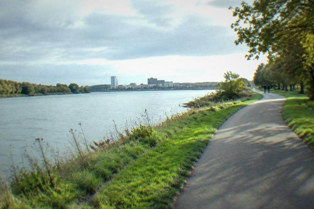 A paved riverside path curving through riverside meadows with trees on both banks