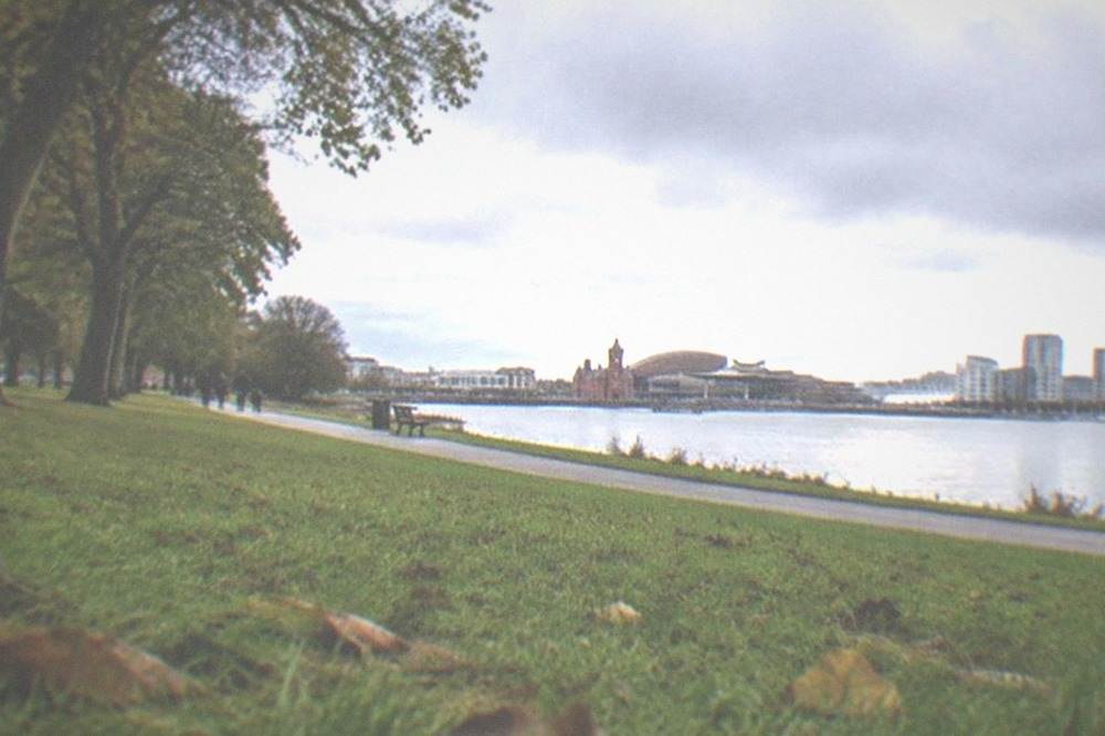 A wide grassy park with mature trees and a path beside a river