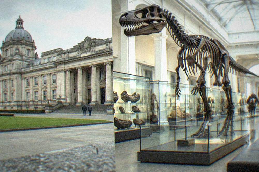 Dinosaur skeleton display inside a bright museum hall with glass cabinets and high ceiling