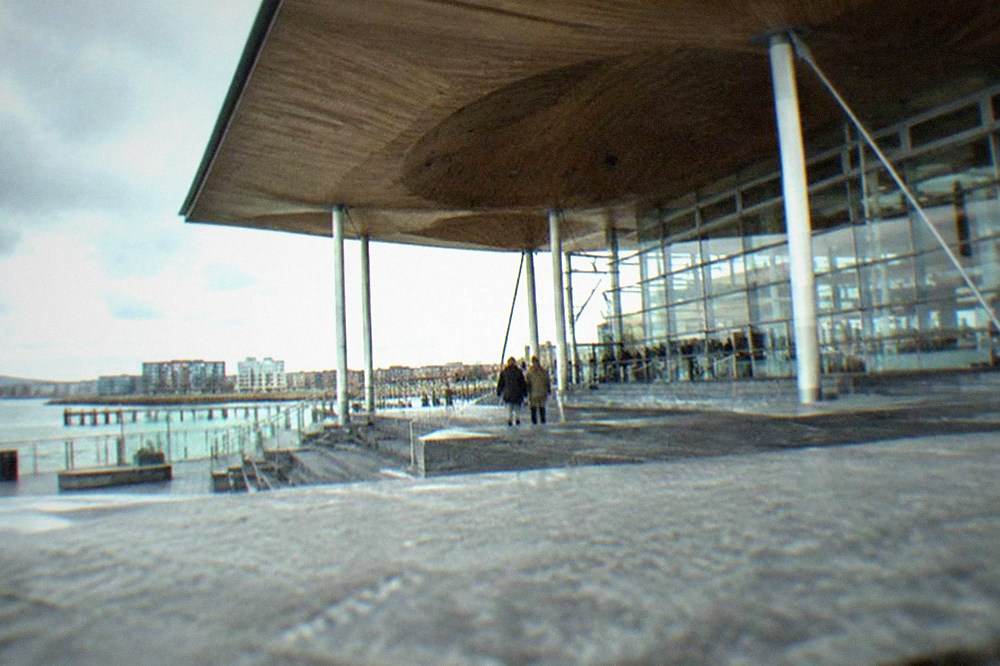 The curved timber ceiling above the Senedd debating chamber