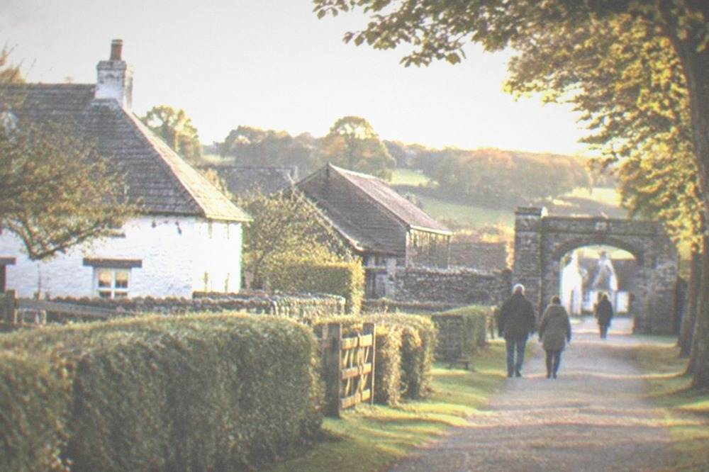 A wide museum pathway lined with mature trees leading toward a stone gateway