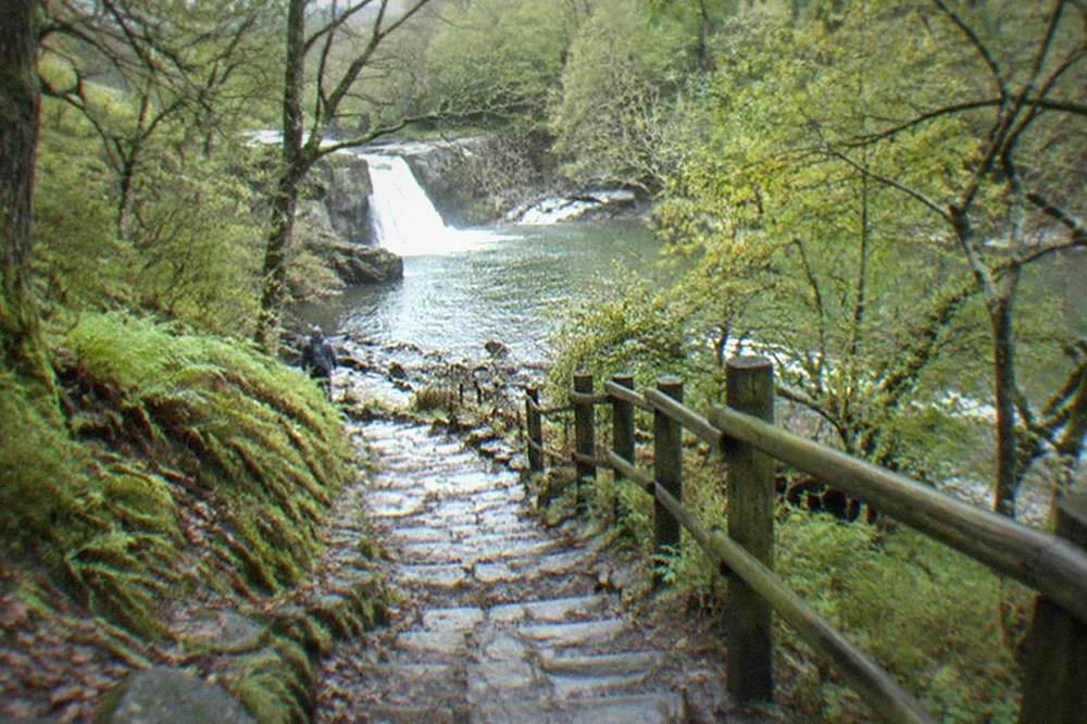 A stone step path descending through oak woodland towards a river