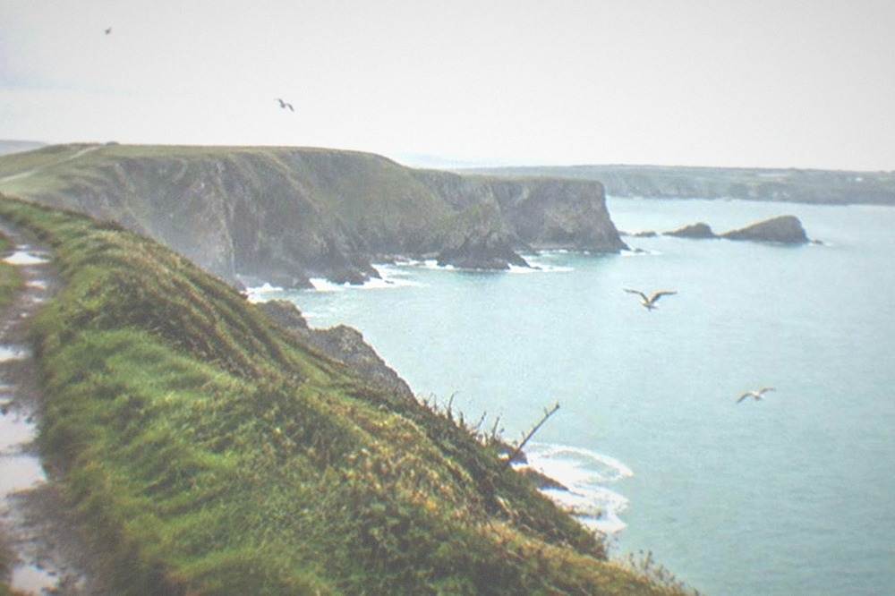 Grassy clifftop path above turquoise water with seabirds on the wing