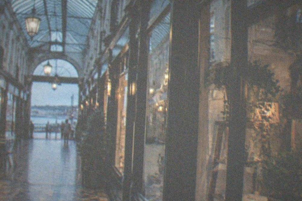 A glass-roofed Victorian shopping arcade with small independent shopfronts