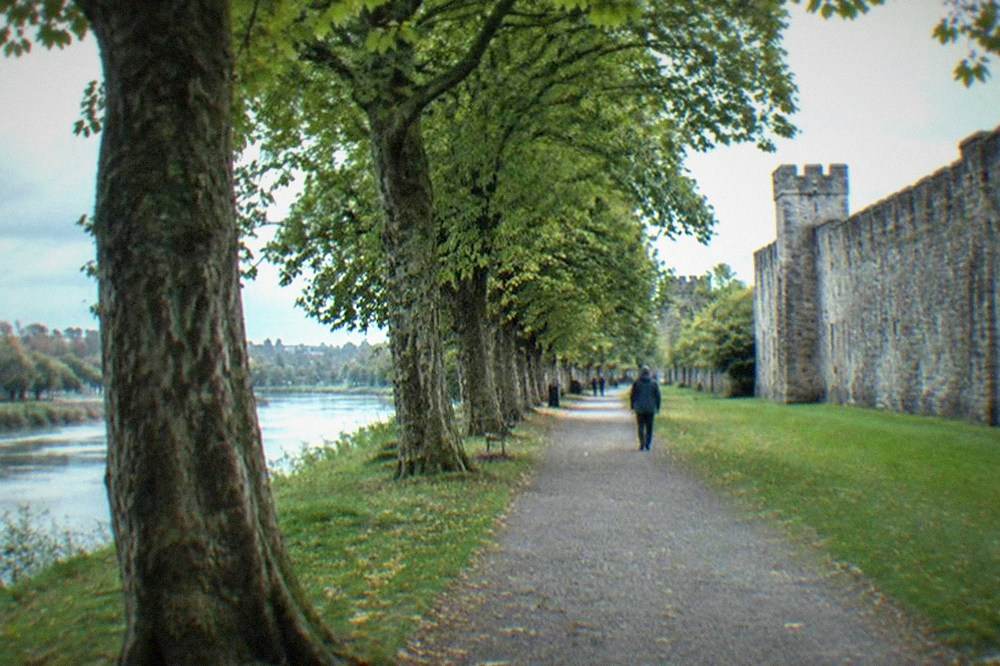Tree-lined path through Bute Park with the castle wall on one side
